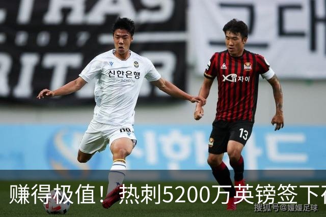 赚得极值！热刺5200万英镑签下荷兰国脚，后防线增强新赛季蓄势待发